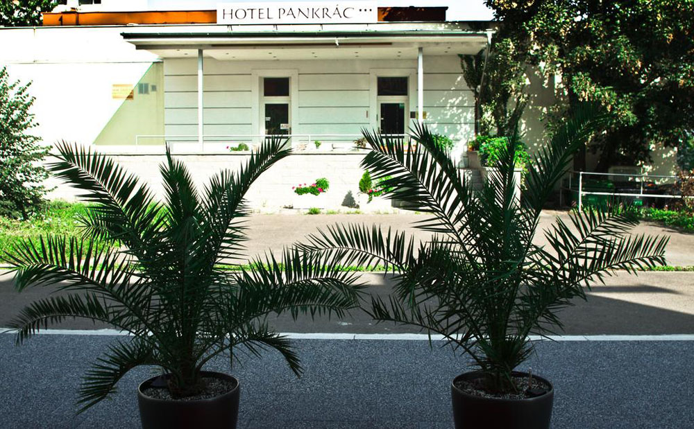 فندق بانكراك